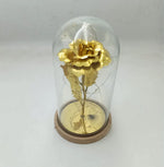 Load image into Gallery viewer, Glass Flower Dome with LED Perfect Gift &amp; Room Décor
