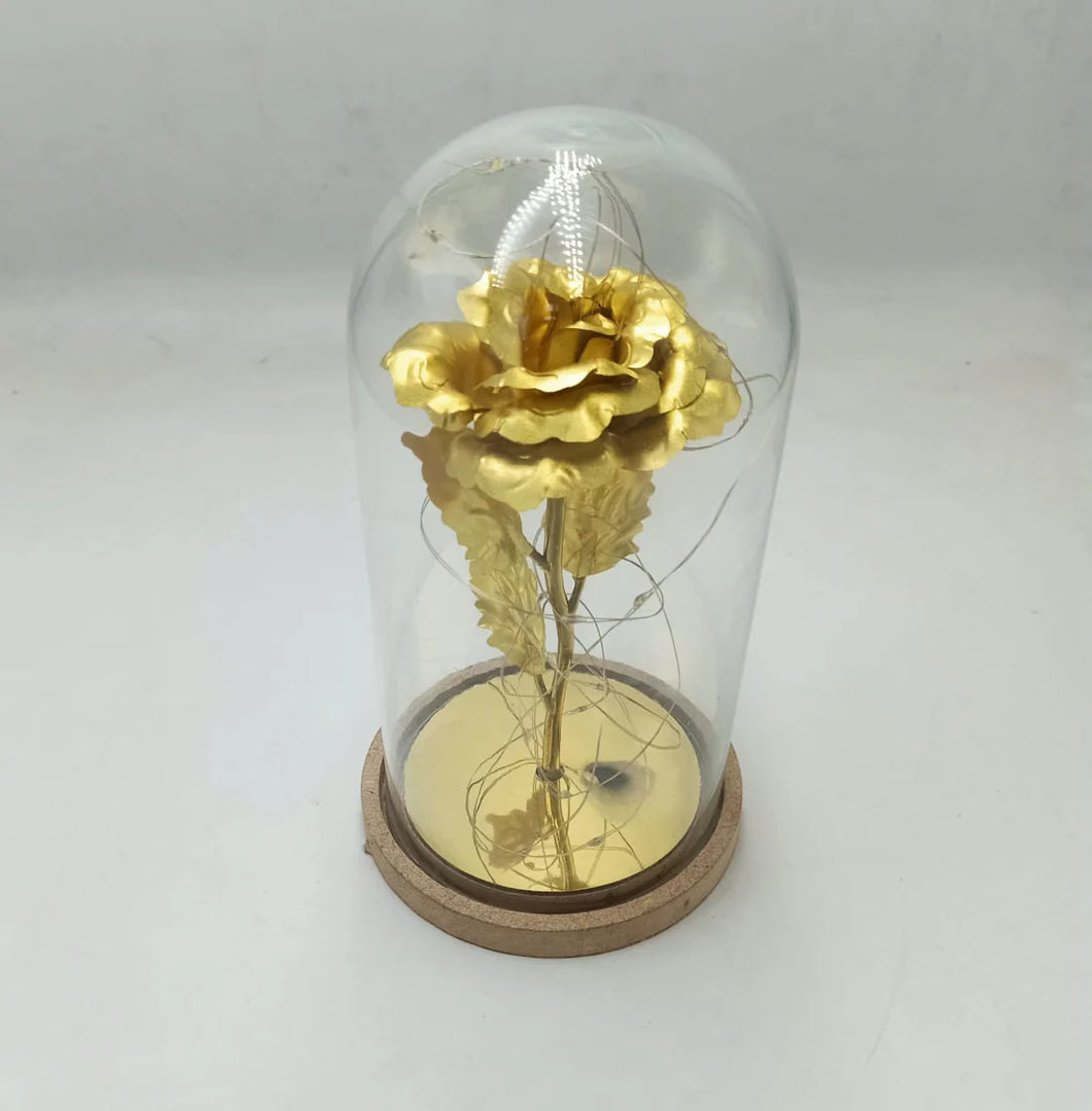 Glass Flower Dome with LED Perfect Gift & Room Décor