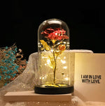 Load image into Gallery viewer, Glass Flower Dome with LED Perfect Gift &amp; Room Décor
