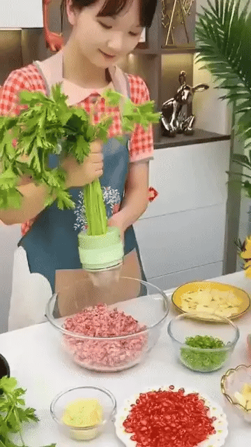 Handheld Cordless Food Chopper